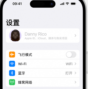 青云谱appleID维修服务iPhone设置中Apple ID显示为灰色无法使用 