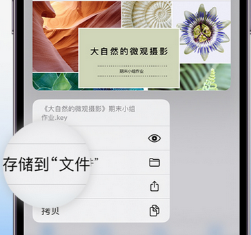 青云谱apple维修中心分享iPhone文件应用中存储和找到下载文件