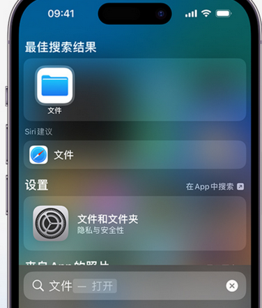 青云谱apple维修中心分享iPhone文件应用中存储和找到下载文件