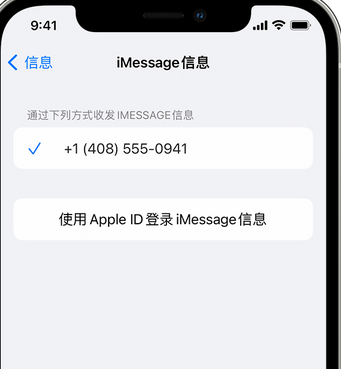 青云谱apple维修iPhone上无法正常发送iMessage信息 