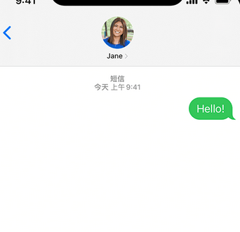 青云谱apple维修iPhone上无法正常发送iMessage信息