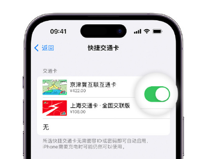 青云谱apple维修点分享iPhone上更换Apple Pay快捷交通卡手绘卡面 