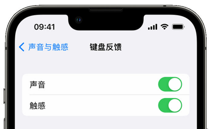 青云谱苹果手机维修分享iPhone 14触感键盘使用方法 