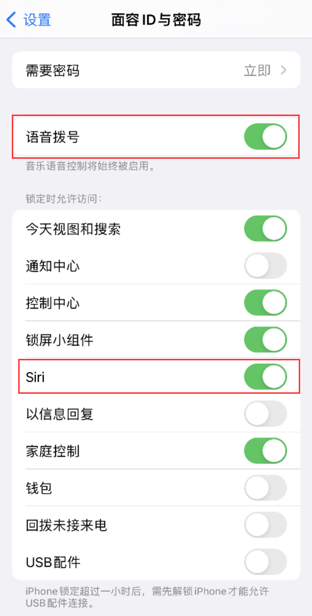 青云谱苹果维修网点分享不解锁 iPhone 的情况下通过 Siri 拨打电话的方法 