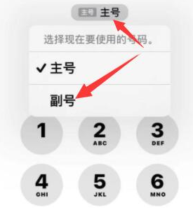 青云谱苹果14维修店分享iPhone 14 Pro Max使用副卡打电话的方法 