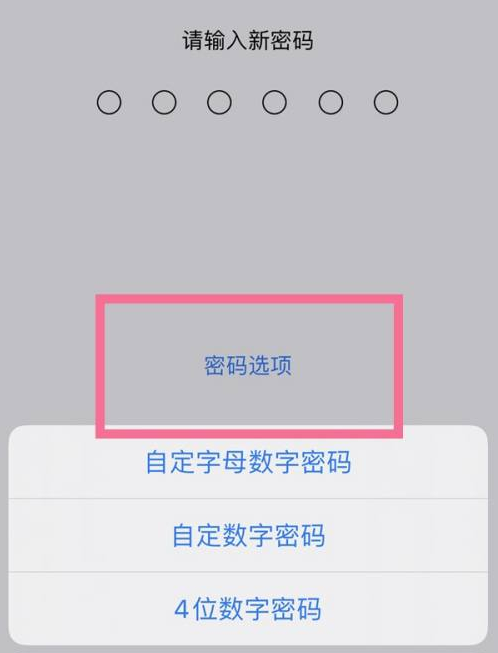 青云谱苹果14维修分享iPhone 14plus设置密码的方法 