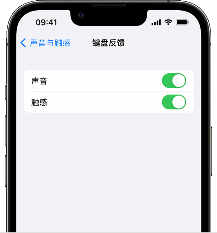 青云谱苹果14维修分享iPhone 14 系列机型如何开启键盘声音或触感反馈 