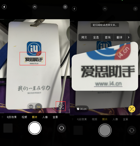 青云谱苹果手机维修分享升级iOS 16后如何通过相机翻译文本 