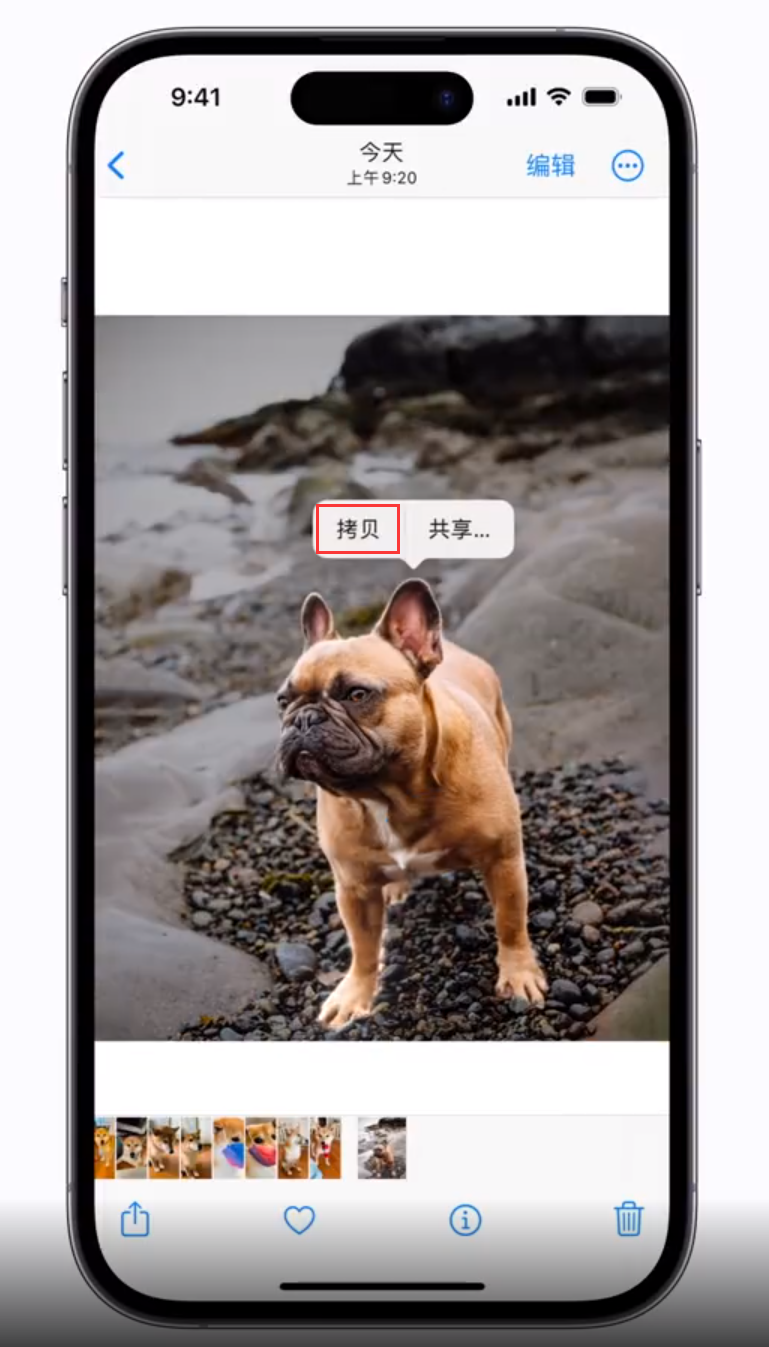 青云谱苹果手机维修分享 iOS 16 自带一键抠图功能 