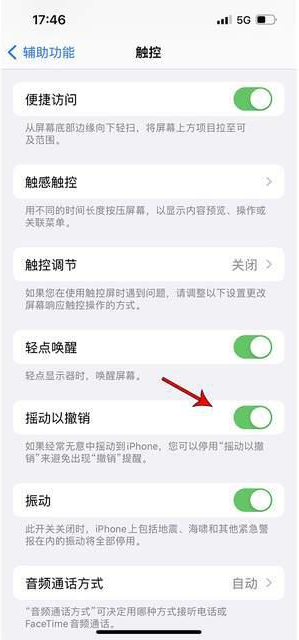 青云谱苹果手机维修分享iPhone手机如何设置摇一摇删除文字 