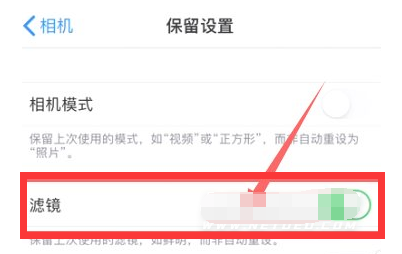 青云谱苹果13维修分享iPhone13拍照有绿点是怎么回事 