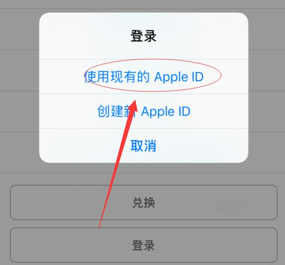 青云谱苹果手机维修分享两台iPhone设备可以同时登录一个Apple ID吗 