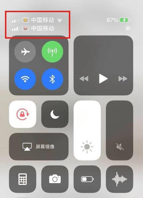 青云谱苹果手机维修分享为 iPhone 12 双卡设置标签 